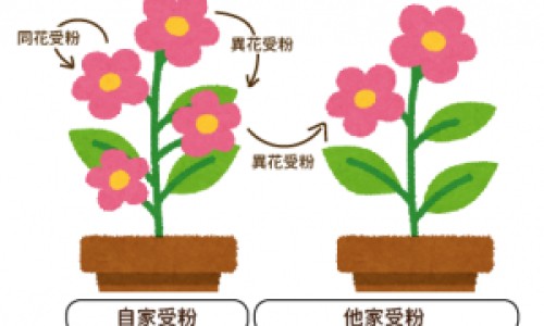 肉毒杆菌毒素是什么-肉毒杆菌的副作用专区_肉毒杆菌的危害专区_肉毒杆菌的功效网